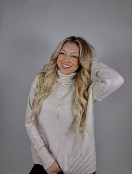 Turtleneck Front Seam Sweater