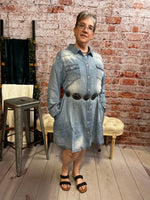 Patsie plus chambray dress