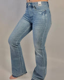 Buffalo Judy Blue Jeans