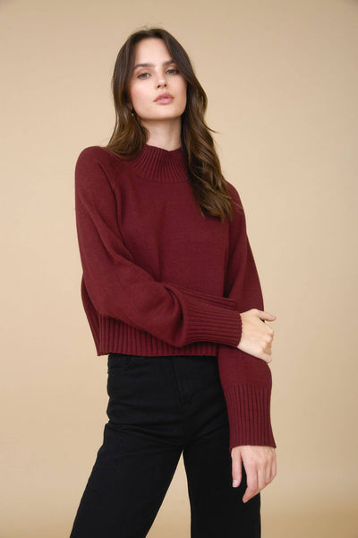 Mock Neck Long Sleeve Knit Cropped Sweater