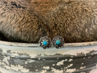 Turquoise & Silver Collection