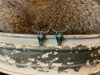 Turquoise & Silver Collection