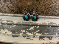 Turquoise & Silver Collection