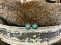 Turquoise & Silver Collection
