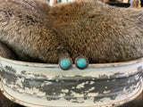 Turquoise & Silver Collection