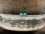 Turquoise & Silver Collection