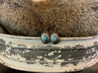 Turquoise & Silver Collection