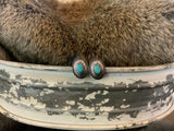 Turquoise & Silver Collection