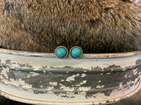 Turquoise & Silver Collection