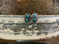 Turquoise & Silver Collection