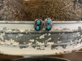 Turquoise & Silver Collection