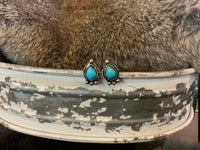 Turquoise & Silver Collection